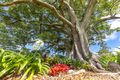 Property photo of 1 River Tree Court Eumundi QLD 4562