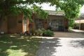 Property photo of 6 Peake Terrace Coonalpyn SA 5265
