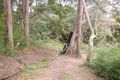 Property photo of 68 Irrubel Road Newport NSW 2106