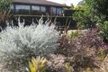 Property photo of 2 Cadet Close Bolwarra Heights NSW 2320