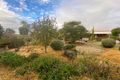 Property photo of 5093 Newell Highway Peak Hill NSW 2869