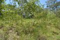 Property photo of LOT 2 Wilcox Road Kenilworth QLD 4574