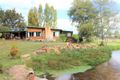 Property photo of 154 Tonganah Road Tonganah TAS 7260