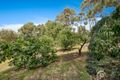 Property photo of 23 Casey Drive Berwick VIC 3806