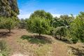 Property photo of 23 Casey Drive Berwick VIC 3806