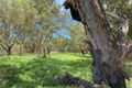 Property photo of 8648 Lachlan Valley Way Condobolin NSW 2877