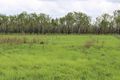 Property photo of 50 Cattledog Court Humpty Doo NT 0836