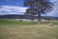 Property photo of 673 Legerwood Lane Legerwood TAS 7263