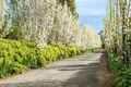 Property photo of 257B Humphries Road Frankston South VIC 3199