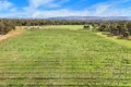 Property photo of 20 Morris Lane Avoca VIC 3467
