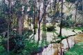 Property photo of 1 Woodland Parkway Buff Point NSW 2262