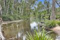 Property photo of 454 Forestry Road Bluewater Park QLD 4818