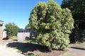 Property photo of 262 Guthridge Parade Sale VIC 3850