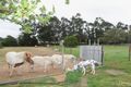 Property photo of 600-608 States Road Onkaparinga Hills SA 5163