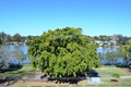 Property photo of 11/69 Orleigh Street West End QLD 4101