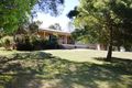 Property photo of 10 Bourke Street Blandford NSW 2338