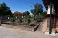 Property photo of 13 Second Street Nuriootpa SA 5355