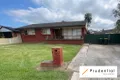 Property photo of 24 Alexander Crescent Macquarie Fields NSW 2564