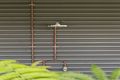 Property photo of 63 Carroll Avenue Mollymook Beach NSW 2539