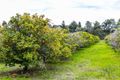 Property photo of 114 Copley-Dale Road Gidgegannup WA 6083