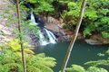 Property photo of 902 Currumbin Creek Road Currumbin Valley QLD 4223