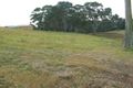 Property photo of 41 Cressy Road Mount Vernon NSW 2178
