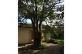Property photo of 13 Albany Crescent Surrey Hills VIC 3127