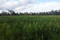Property photo of 100 Balandinas Drive Tiaro QLD 4650
