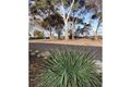 Property photo of 16-18 Dorset Street Murray Bridge SA 5253