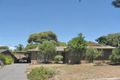 Property photo of 59 Noritake Road Modbury Heights SA 5092