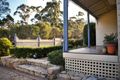 Property photo of 56 Rixons Pass Road Woonona NSW 2517