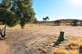 Property photo of 4 Teague Crescent Larapinta NT 0875