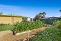 Property photo of 22 Cameron Road Aldinga Beach SA 5173