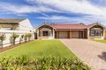 Property photo of 3 Dudley Avenue Daw Park SA 5041