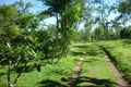 Property photo of 113 Fryers Road Hervey Range QLD 4817