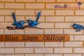 Property photo of 19 Bruns Drive Darling Downs WA 6122