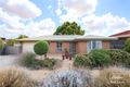 Property photo of 55 Haines Road Willaston SA 5118