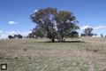Property photo of 41 Carters Lane Binalong NSW 2584