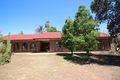 Property photo of 11 Nineteenth Street Renmark SA 5341