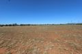 Property photo of 12 Evatt Street Temora NSW 2666