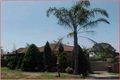 Property photo of 15 Cronulla Crescent Woodbine NSW 2560