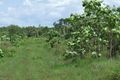 Property photo of 245 Koonakarra Road Dundee Beach NT 0840
