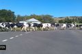 Property photo of LOT 409 Wyalla Road Jamberoo NSW 2533