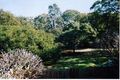 Property photo of 15 Royal Terrace Hamilton QLD 4007