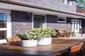 Property photo of 8 Oberon Crescent Gordon NSW 2072