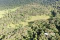Property photo of 425 Mena Creek Road Mena Creek QLD 4871