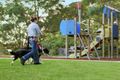 Property photo of 18 Koala Court Little Mountain QLD 4551