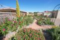 Property photo of 56 Coronation Avenue Swan Hill VIC 3585