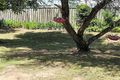 Property photo of 3/22 Glenhorn Close West Mackay QLD 4740