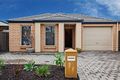 Property photo of 3 Parker Avenue Seaton SA 5023